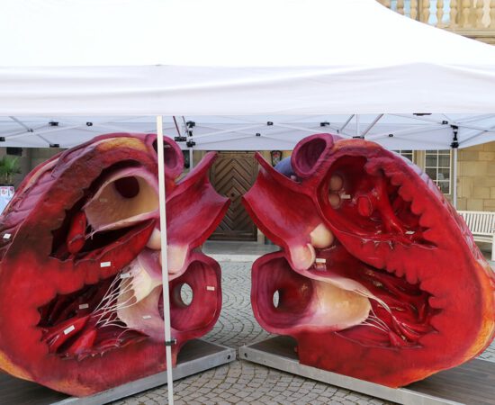Herz im Takt-Tag 2023: überdimensionalles Herzmodell